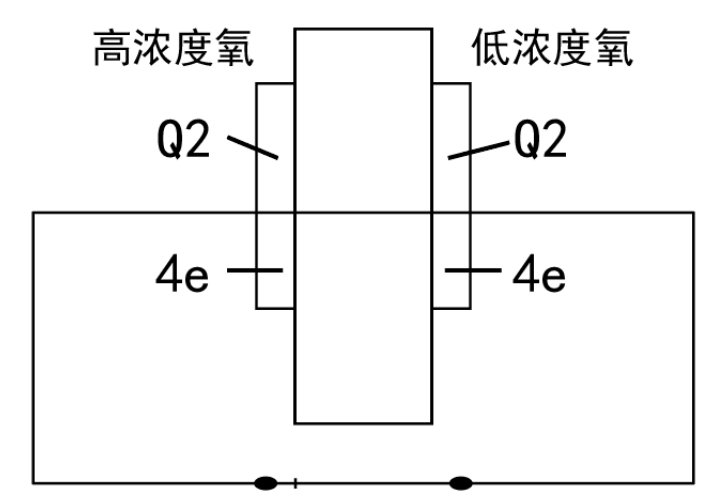 固體電解質(zhì)氣體傳感器工作原理.png